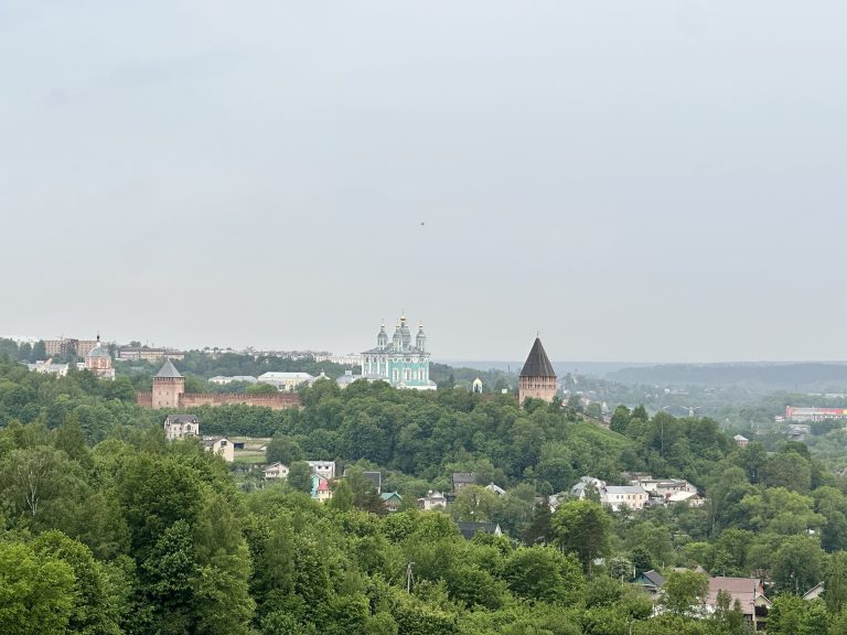 1-комнатная квартира — ул. Юбилейная, д. 13 (Новосельцы) 2